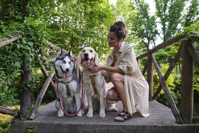 Gallery Dog Spa 06